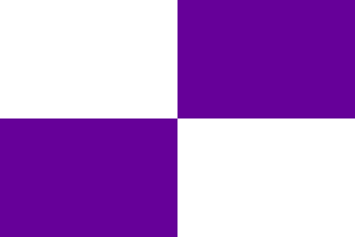 Arraiolos plain flag