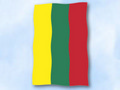 Bild der Flagge "Flagge Litauen im Hochformat (Glanzpolyester)"