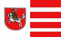 Bild der Flagge "Fahne des Landkreis Dithmarschen (150 x 90 cm)"