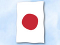 Bild der Flagge "Flagge Japan im Hochformat (Glanzpolyester)"