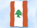 Bild der Flagge "Flagge Libanon im Hochformat (Glanzpolyester)"
