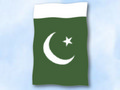 Bild der Flagge "Flagge Pakistan im Hochformat (Glanzpolyester)"