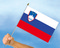 Stockflaggen Slowenien
 (45 x 30 cm) Flagge Flaggen Fahne Fahnen kaufen bestellen Shop
