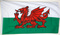 Nationalflagge Wales
 (90 x 60 cm) Flagge Flaggen Fahne Fahnen kaufen bestellen Shop