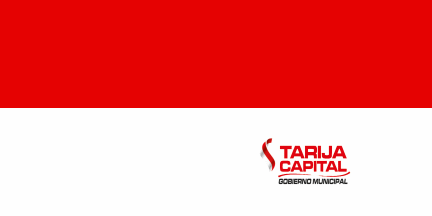 Flag of Tarija, Bolivia
