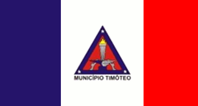 [Flag of Tim&#243;teo, Minas Gerais