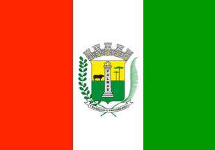 [Flag of Palmas, PR (Brazil)]