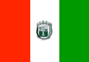 [Flag of Palmas, PR (Brazil)]