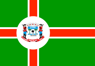 [Flag of Piraí do Sul, PR (Brazil)]