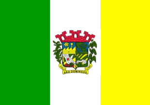[Flag of Sao Domingos, Santa Catarina
