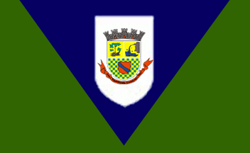 [Flag of Trombudo Central, Santa Catarina