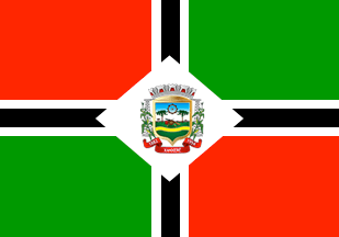 [Flag of Xanxerê, Santa Catarina