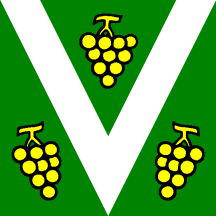 [Flag of Vacallo]