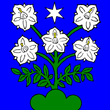 [Flag of Mézières]