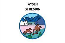 [Proposed Aysén regional flag]