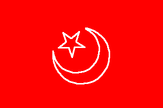 Uighuristan Islamic Republic Of East Turkestan China Fahnen