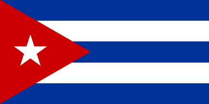 Flagge Che Guevara 30 x 45 cm Fahne 