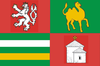 [Plzeň region flag]