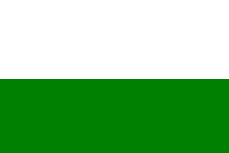 [Cesky Krumlov city flag]