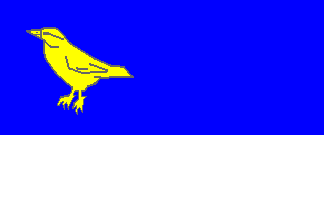 [Raskovice flag]