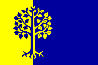 [Služovice municipality flag]