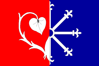 [Rynárec municipality flag]