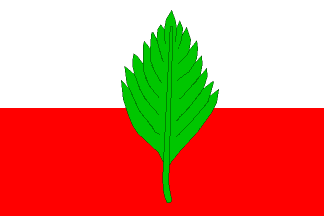 [Podbrezí municipality flag]