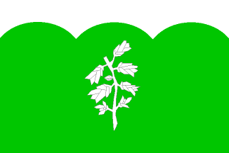 [Radošov municipality flag]