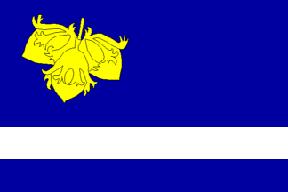 [Leskovec flag]