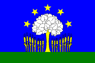 [Vlachovice flag]