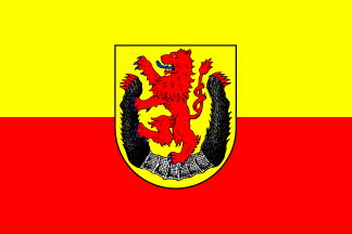 [Diepholz County flag]