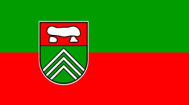 [Thuine municipal flag]