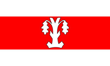 [Schwülper municipal flag]