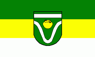 [Letter borough flag]