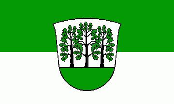 [Echem municipal flag]