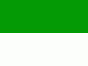 [False Civil Flag Saxe-Altenburg in use]