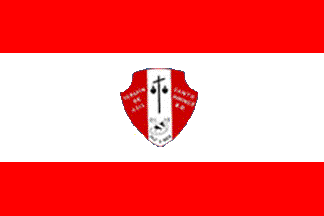 CoSDA flag