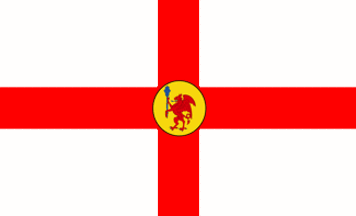 [Commercial Flag of Somerset Council]