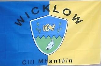 [Wicklow GAA flag]