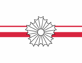 Headquarters District Director flag