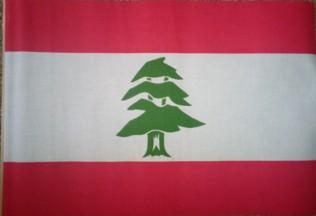 [Vertical-Stripe Lebanese Flag]