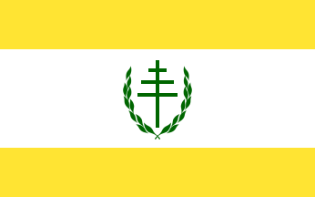 [Maronite Council (Lebanon)]