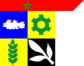 Agadir prov. flag