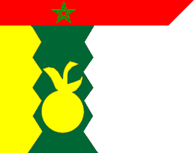 Agadir prov. flag