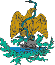 [1823 coat of arms, revision: 1 January 1899. By Juan Manuel Gabino Villascán]