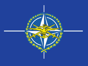 [International Military Staff]