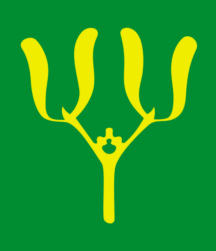 flag of Vå'ale