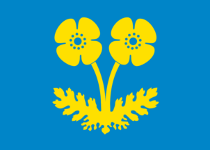 [Flag of Meløy]