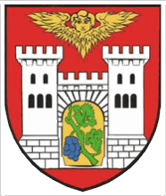 [Dobroszyce coat of arms]