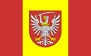 [Toruń county proposed flag]